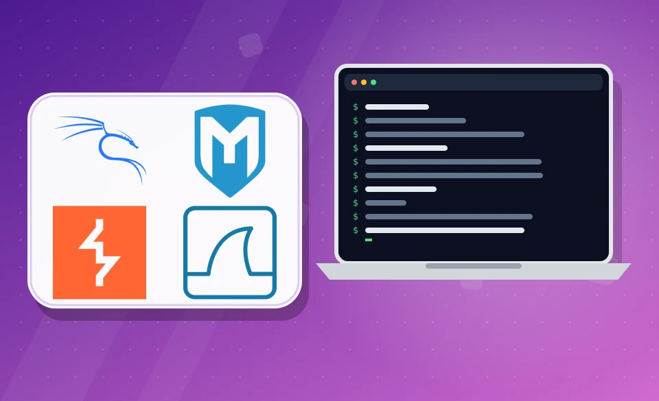 Ethical Hacking / CEH Training - live online course by HiTech Mentor